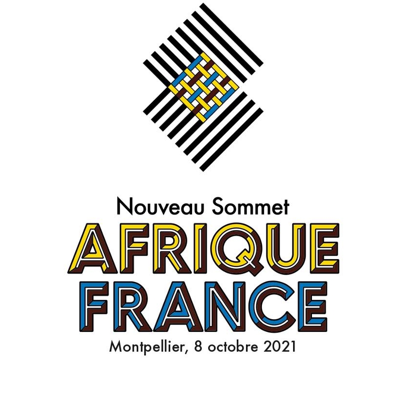 Accueil du sommet AfriqueFrance Michaël Delafosse